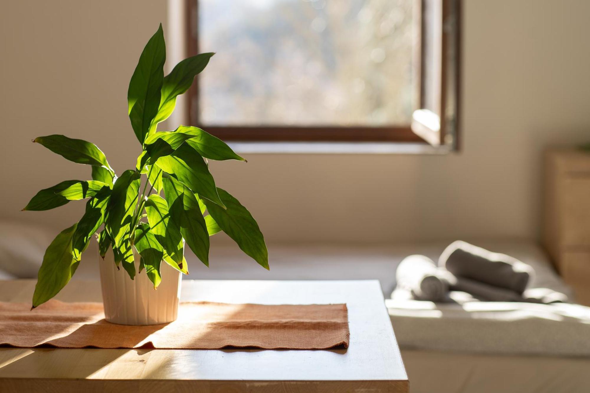 Apartmany Pro Rodiny S Detmi - Permonik Dolní Malá Úpa Exteriör bild